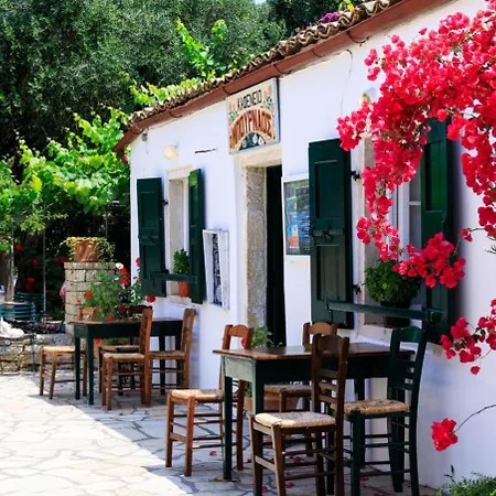 Kallista House Kourtaiika